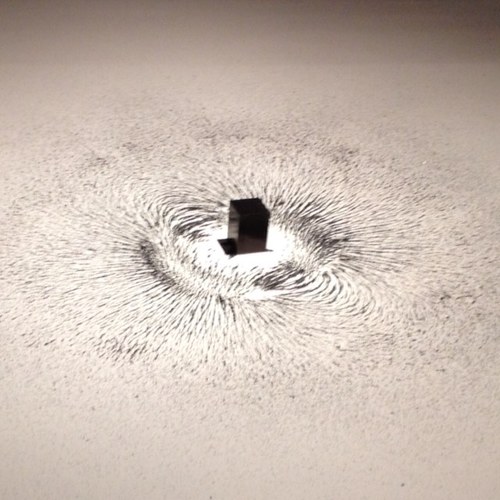 BoomBaastic's profile picture. 