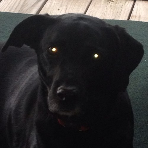 Jin_05's profile picture. 