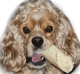 dcarpenter97's profile picture. 