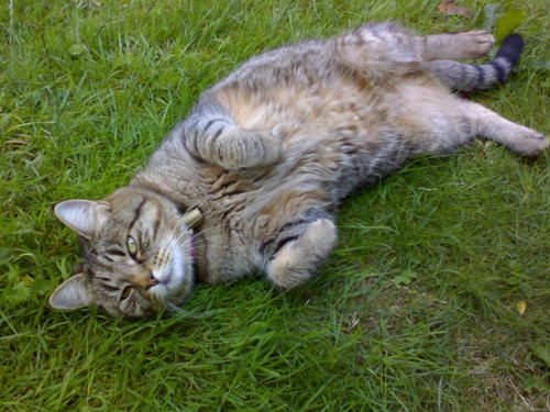 sjclarkey's profile picture. 