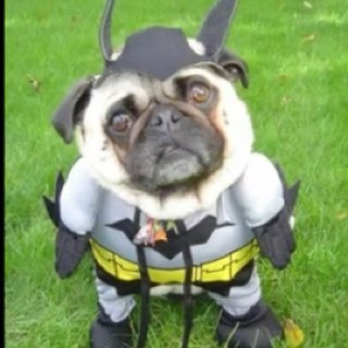 Spinney_'s profile picture. 