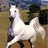 nassser332241's profile image