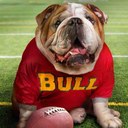 jonny wilson - @jonnywilson15 - Twitter