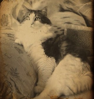 pudzig's profile picture. 