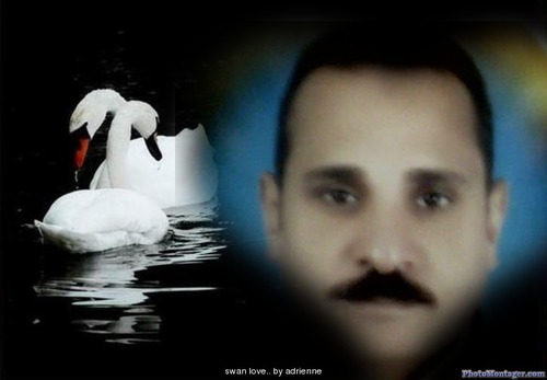 khaledkhaled930's profile picture. علمت ان رزقى لن ياخذه غيرى فطمان قلبى