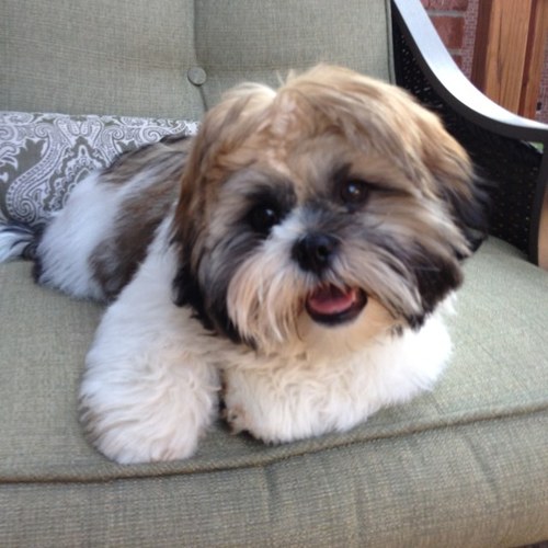 capfingrp's profile picture. 