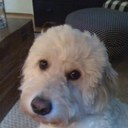 molly hay - @HayMkhay - Twitter