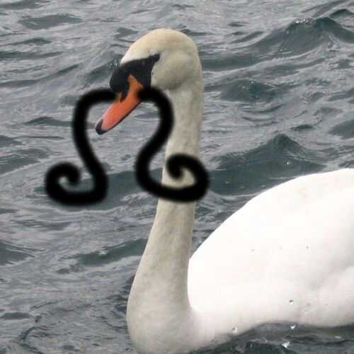 evohumo's profile picture. Neuroscience student studying survival of the funniest, one joke at a time.