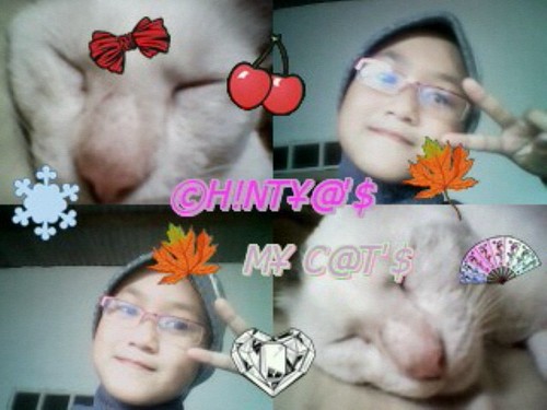 _chintyachintya's profile picture. I Love My Best Friend.....Forever,,,,,,,Because My Friend is beauiful my life and happynes to me......