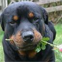 Emily Shoup - @emily_shoup - Twitter