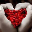 jose antonio gomez p (@010_antonio) Twitter