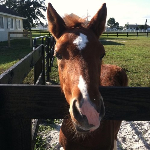 Danaelong's profile picture. Living life yo