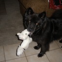 John Toth - @JohnToth4 - Twitter