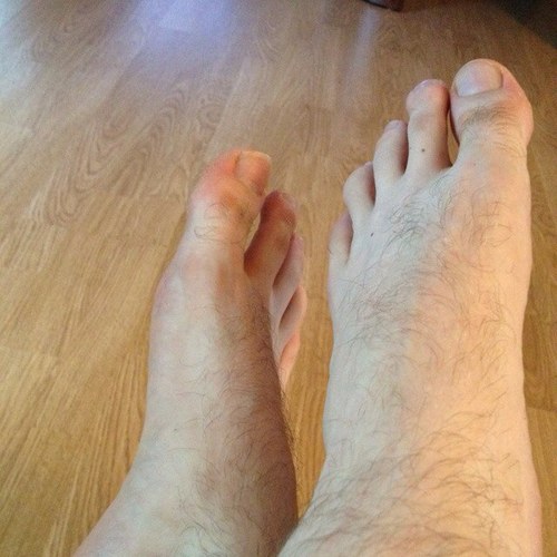 Jacksopinions's profile picture. 