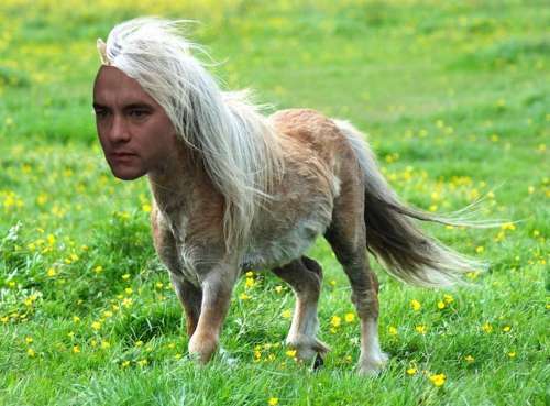 kcolevol's profile picture. 