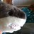 Bomb_Sauce's profile image