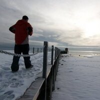 Sol (@solchea) 's Twitter Profile