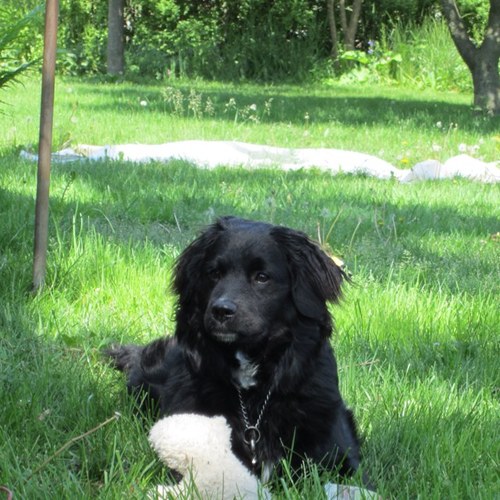 Fairway3641's profile picture. Wife, mother.                   Ovarian cancer survivor🇨🇦