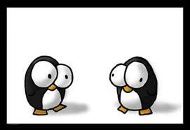 2Pinguins_'s profile picture. Conta pessoal : @fistimes e @AMOPandas .. Segue ?