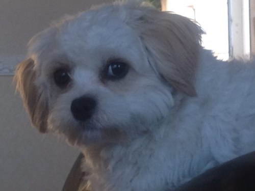 debbies1963's profile picture. 