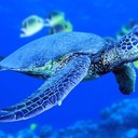 hannah marie lyles - @hannah_lyles - Twitter