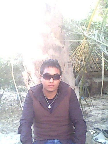 AMIN AJMO Profile