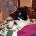 Marty Baker - @cobaka1969 - Twitter