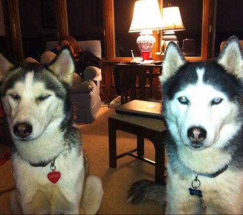 OgleKel's profile picture. Wife, Mom, Teacher, Christ follower