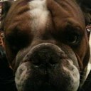 Carlos smart - @CiprianoSmart - Twitter