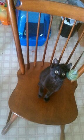 JSQ412's profile picture. 