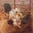 sennbei28's profile image