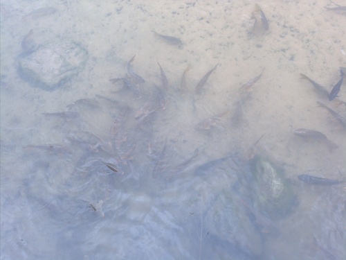 osugho29's profile picture. 따뜻해지는 봄.. 새로운걸 시작하고 싶은 봄.. 
많은 사람들에게 말을 걸어보고 싶은 봄... 
사람을 늘리고싶어요..