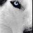 TechGE3Ks's profile image