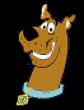 bikescooby's profile picture. Have a go runner, one time cyclist and occasional swimmer.