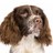 oldfield40's profile image