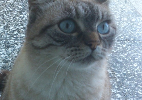 mmlakar48's profile picture. 