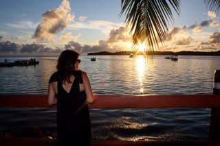 wombatdom's profile picture. 