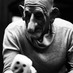 Salti Teatrali - Piattaforma dell'Arte Visiv@ (@saltiteatrali) Twitter profile photo