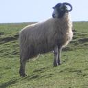 Elaine Robins - @ElaineRobins - Twitter