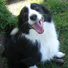 rizcreature's profile picture. 