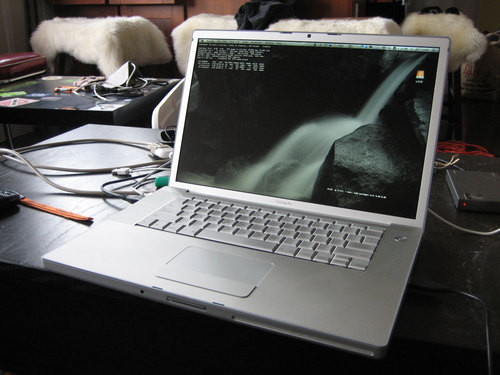 MmaiShh's profile picture. business man