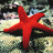 pelillosmar's profile image