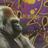Edmund h millar (@skiddyboy71) Twitter profile photo