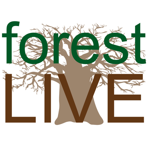 forest LIVE: bringing quality music to South Wilts, West Hants & East Dorset.