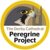 Derby Peregrines (@derbyperegrines) Twitter profile photo