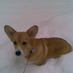 snow_corgi (@dusia_marusia) Twitter profile photo
