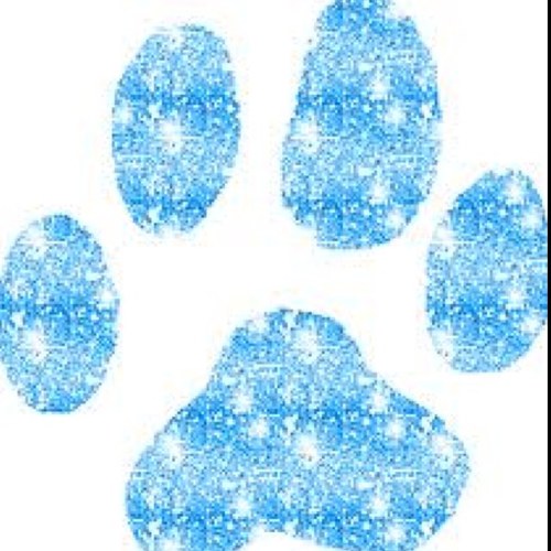 COpp1991's profile picture. Mom, teacher, sports fan