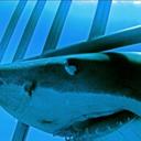 Keith Meadows - @KeithMeadows88 - Twitter