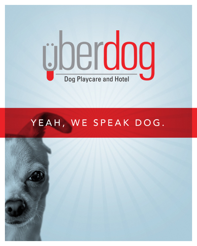 CT's #1 Dog Playcare & Hotel. Come and let your dog have it's day! Winner of Best Doggie Daycare in 2009/10/11/12/13/15/16/17!!