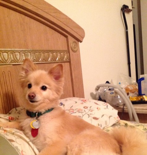 JtmorgTammy's profile picture. 